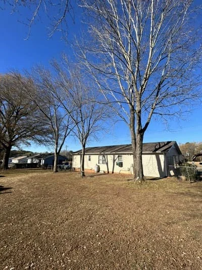 Cleared residential lot with tree stumps and bare ground after removal of mature trees