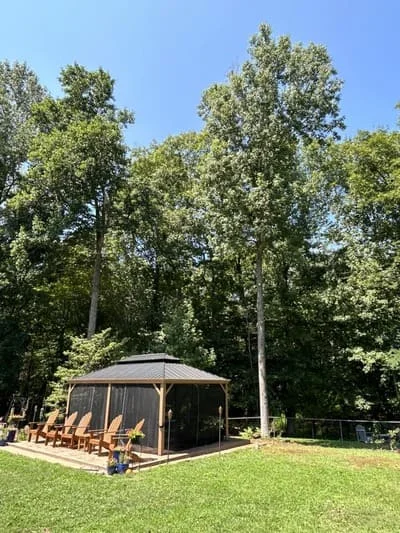 Cleared residential yard with mature trees removed, open lawn with gazebo structure and tree line backdrop