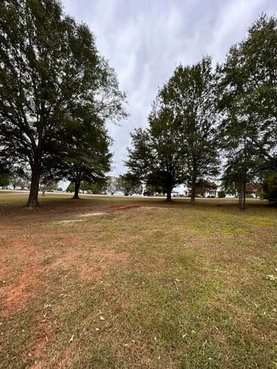 Cleared lawn area with mature trees removed, remaining shade trees visible in background