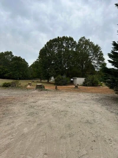 Cleared gravel lot with removed tree stumps and mature trees in background