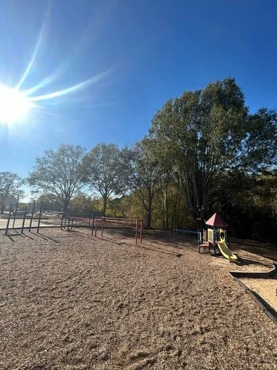 Equestrian arena with mature trees, metal fencing, and playground equipment on cleared grounds